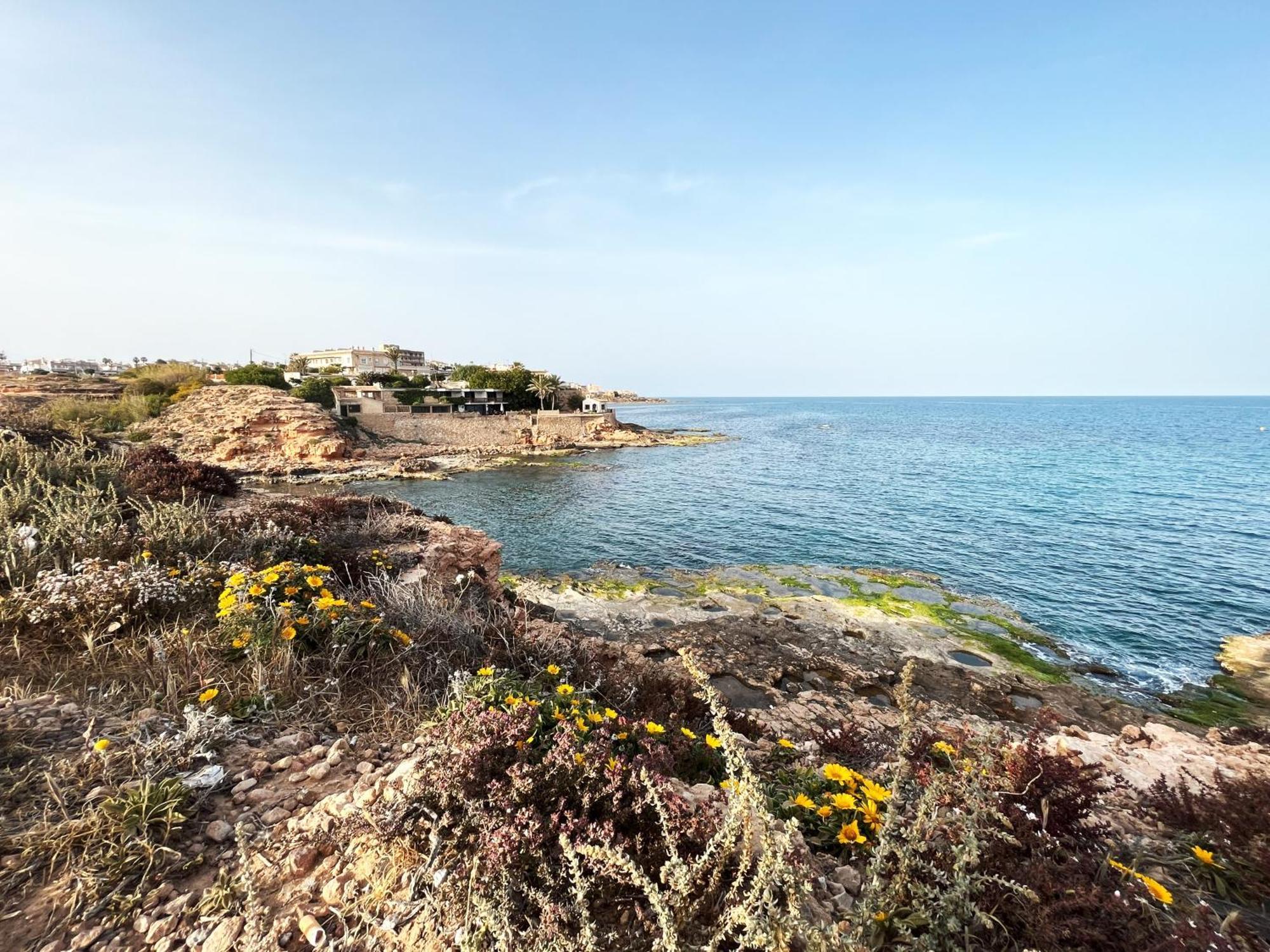 Salty Apartment Torrevieja Dış mekan fotoğraf